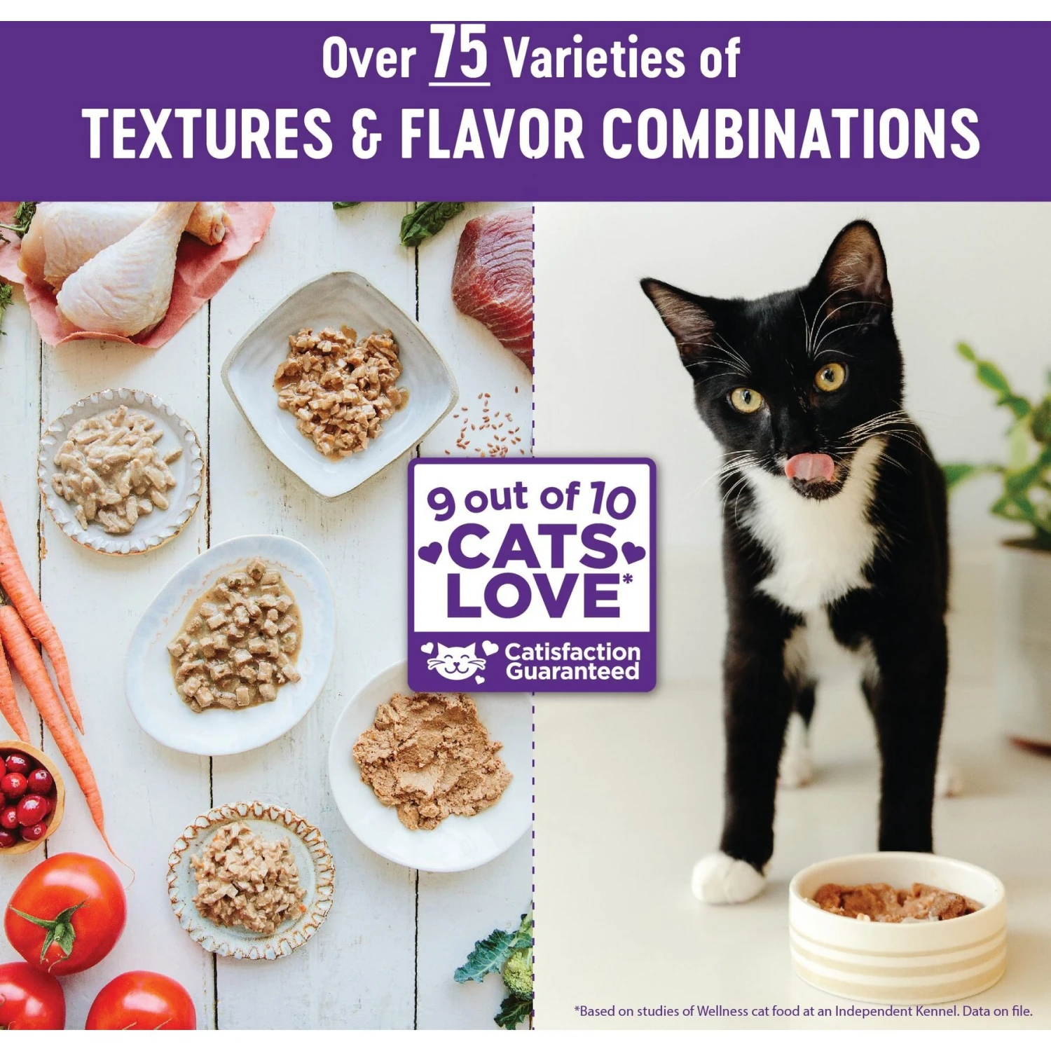 Wellness Natural Grain-Free Gravies Salmon Entree Canned Cat Food 9 Wellness Natural Grain-Free Gravies Salmon Entree Canned Cat Food - Image 7