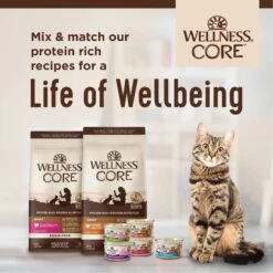 Wellness CORE Grain-Free Chicken, Turkey & Chicken Liver Formula Canned Cat Food -PurePet Bites Shop 118866 PT7. AC SS1800 V1695923308
