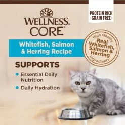 Wellness CORE Grain-Free Salmon, Whitefish & Herring Pate Canned Kitten & Cat Food -PurePet Bites Shop 118867 PT2. AC SS1800 V1695826950
