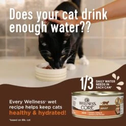 Wellness CORE Grain-Free Salmon, Whitefish & Herring Pate Canned Kitten & Cat Food -PurePet Bites Shop 118867 PT3. AC SS1800 V1695847357