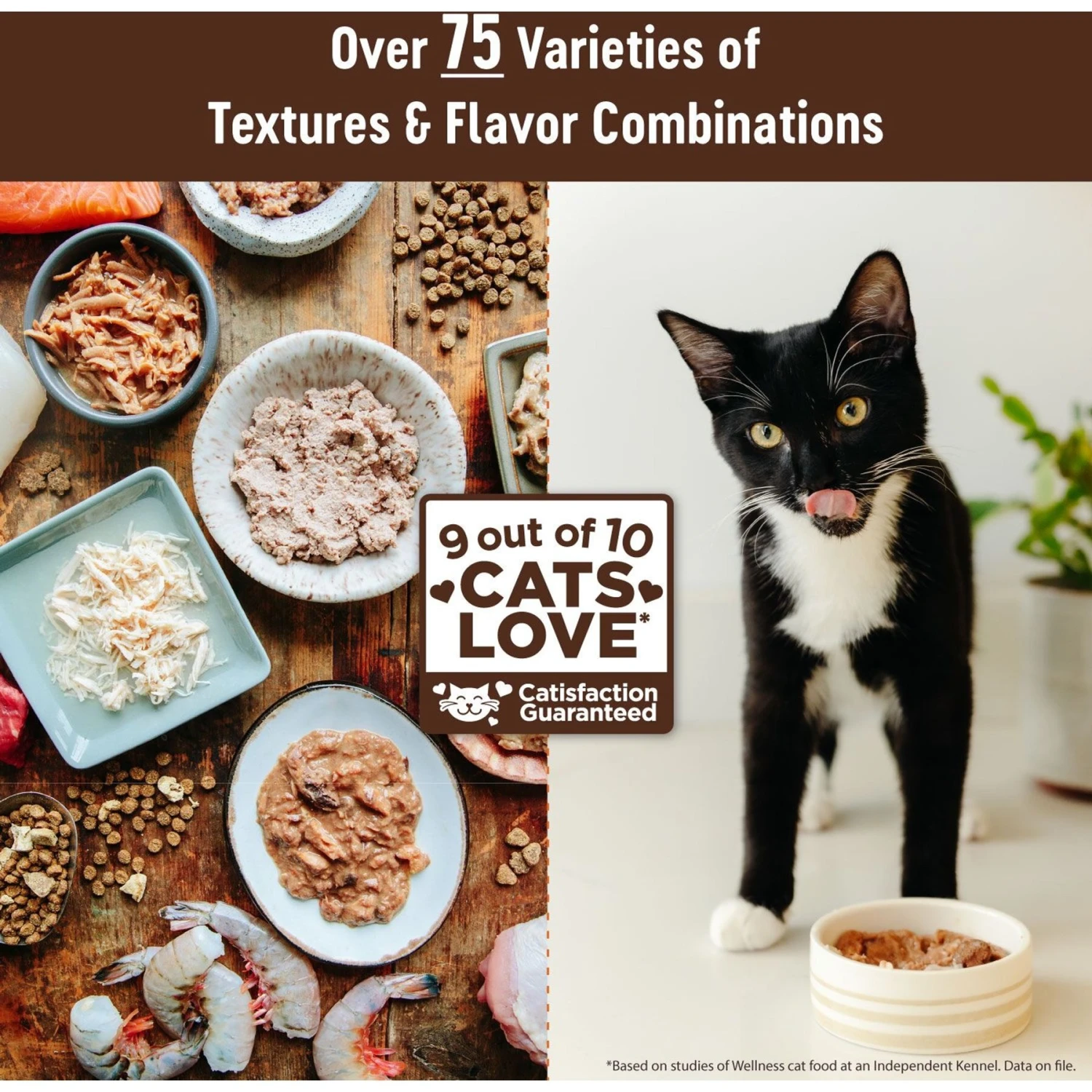 Wellness CORE Natural Grain-Free Turkey & Chicken Liver Pate Canned Kitten Food 9 Wellness CORE Natural Grain-Free Turkey & Chicken Liver Pate Canned Kitten Food - Image 7