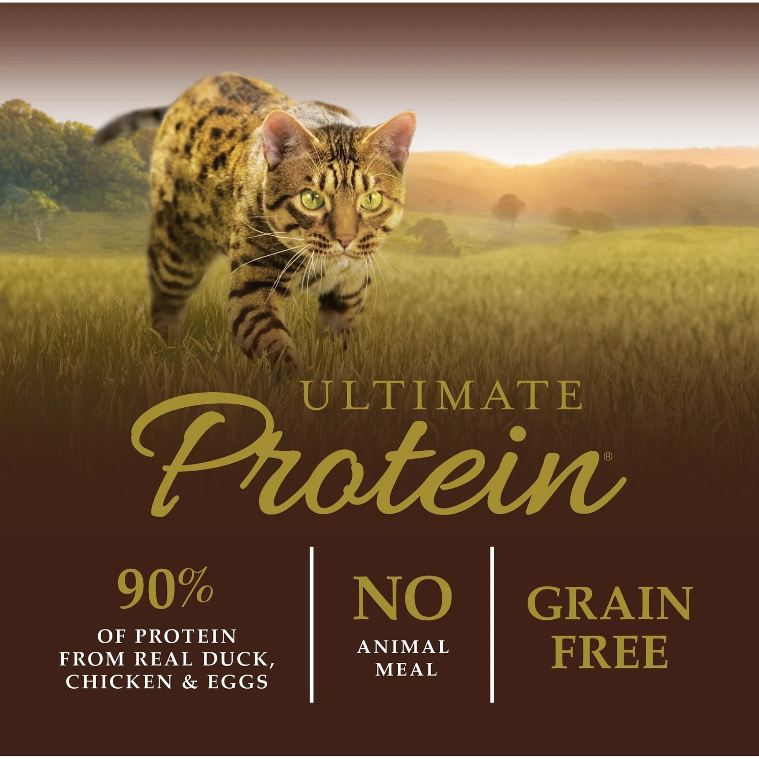 Instinct Ultimate Protein Grain-Free Cage-Free Duck Recipe Freeze-Dried Raw Coated Dry Cat Food 5 Instinct Ultimate Protein Grain-Free Cage-Free Duck Recipe Freeze-Dried Raw Coated Dry Cat Food - Image 3