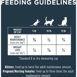 Instinct Raw Boost Grain-Free Recipe With Real Chicken & Freeze-Dried Raw Coated Pieces Dry Cat Food -PurePet Bites Shop 119118 PT8. AC SS1800 V1565022490
