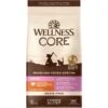 Wellness CORE Grain-Free Kitten Formula Natural Dry Cat Food -PurePet Bites Shop 119557 MAIN. AC SS1800 V1636506123