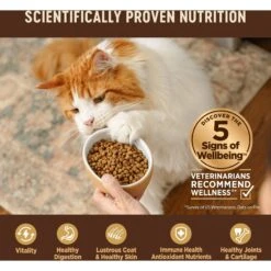 Wellness CORE Grain-Free Turkey, Turkey Meal & Duck Formula Natural Dry Cat Food -PurePet Bites Shop 119569 PT3. AC SS1800 V1636554112