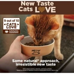 Wellness CORE Grain-Free Turkey, Turkey Meal & Duck Formula Natural Dry Cat Food -PurePet Bites Shop 119569 PT4. AC SS1800 V1636554444