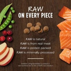 Instinct Original Grain-Free Recipe With Real Salmon Freeze-Dried Raw Coated Dry Cat Food -PurePet Bites Shop 122324 PT3. AC SS1800 V1623441459