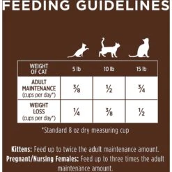 Instinct Original Grain-Free Recipe With Real Salmon Freeze-Dried Raw Coated Dry Cat Food -PurePet Bites Shop 122324 PT8. AC SS1800 V1623441788