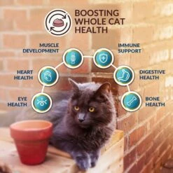 Wishbone Roost New Zealand Chicken Grain-Free Complete Cat Health Dry Cat Food -PurePet Bites Shop 123912 PT4. AC SS1800 V1703863125