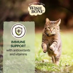 Wishbone Pasture New Zealand Lamb Grain-Free Complete Cat Health Dry Cat Food -PurePet Bites Shop 124079 PT5. AC SS1800 V1702503579