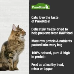 PureBites Chicken Breast & Catnip Freeze-Dried Cat Treats -PurePet Bites Shop 125296 PT4. AC SS1800 V1677594398