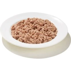 Triumph Meals Of Victory With Salmon In Savory Juices Cat Food Trays -PurePet Bites Shop 126282 PT2. AC SS1800 V1515005613