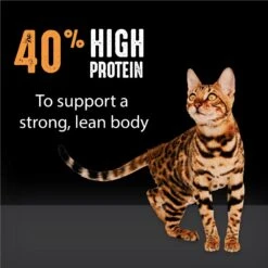 Crave With Protein From Chicken Adult Grain-Free Dry Cat Food -PurePet Bites Shop 126679 PT4. AC SS1800 V1688756931