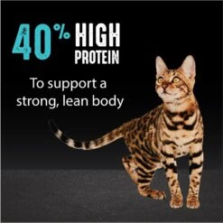 Crave With Protein From Salmon & Ocean Fish Adult Grain-Free Dry Cat Food -PurePet Bites Shop 126683 PT4. AC SS1800 V1688756927