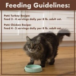 Nutro Perfect Portions Grain-Free Real Turkey & Real Chicken Pate Recipe Variety Pack Adult Wet Cat Food Trays 18 Nutro Perfect Portions Grain-Free Real Turkey & Real Chicken Pate Recipe Variety Pack Adult Wet Cat Food Trays -PurePet Bites Shop 128567 PT7. AC SS1800 V1702678672