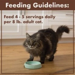 Nutro Perfect Portions Grain-Free Real Salmon & Tuna, Real Chicken & Shrimp Recipe Pate Variety Pack Adult Wet Cat Food Trays -PurePet Bites Shop 128569 PT7. AC SS1800 V1702678670