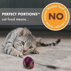 Nutro Perfect Portions Grain-Free Cuts In Gravy Tuna Recipe Adult Wet Cat Food Trays -PurePet Bites Shop 128577 PT4. AC SS1800 V1702678408