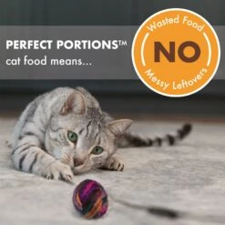 Nutro Perfect Portions Grain-Free Real Turkey & Real Chicken Cuts In Gravy Recipe Variety Pack Adult Wet Cat Food Trays -PurePet Bites Shop 128587 PT3. AC SS1800 V1702678349