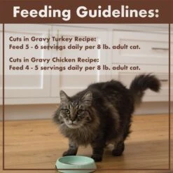 Nutro Perfect Portions Grain-Free Real Turkey & Real Chicken Cuts In Gravy Recipe Variety Pack Adult Wet Cat Food Trays -PurePet Bites Shop 128587 PT7. AC SS1800 V1702678350
