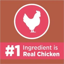 Iams ProActive Health High Protein Chicken & Salmon Recipe Dry Cat Food -PurePet Bites Shop 128630 PT3. AC SS1800 V1623284245