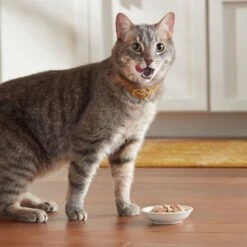 Meow Mix Chunks In Gravy With Real Chicken Breast Wet Cat Food -PurePet Bites Shop 130528 PT6. AC SS1800 V1674745091