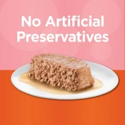 Iams Perfect Portions Healthy Adult Salmon Recipe Pate Grain-Free Wet Cat Food Trays -PurePet Bites Shop 131319 PT3. AC SS1800 V1617075158