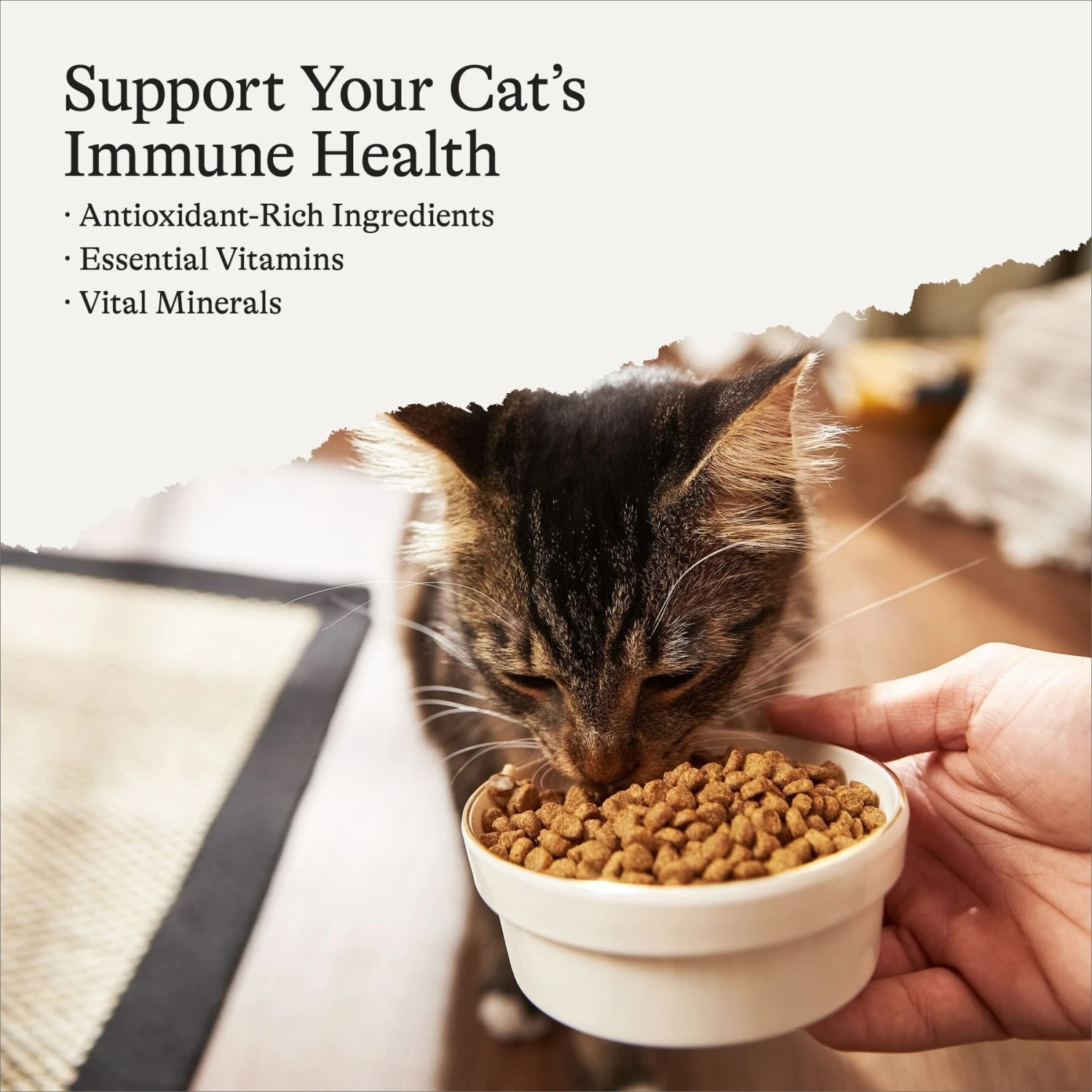 American Journey Turkey & Chicken Recipe Grain-Free Dry Cat Food 4 American Journey Turkey & Chicken Recipe Grain-Free Dry Cat Food - Image 2