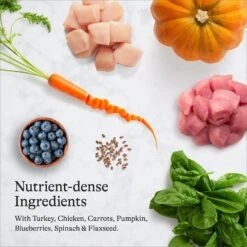 American Journey Turkey & Chicken Recipe Grain-Free Dry Cat Food 16 American Journey Turkey & Chicken Recipe Grain-Free Dry Cat Food -PurePet Bites Shop 131581 PT5. AC SS1800 V1680787064