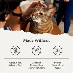 American Journey Turkey & Chicken Recipe Grain-Free Dry Cat Food 17 American Journey Turkey & Chicken Recipe Grain-Free Dry Cat Food -PurePet Bites Shop 131581 PT6. AC SS1800 V1680787071