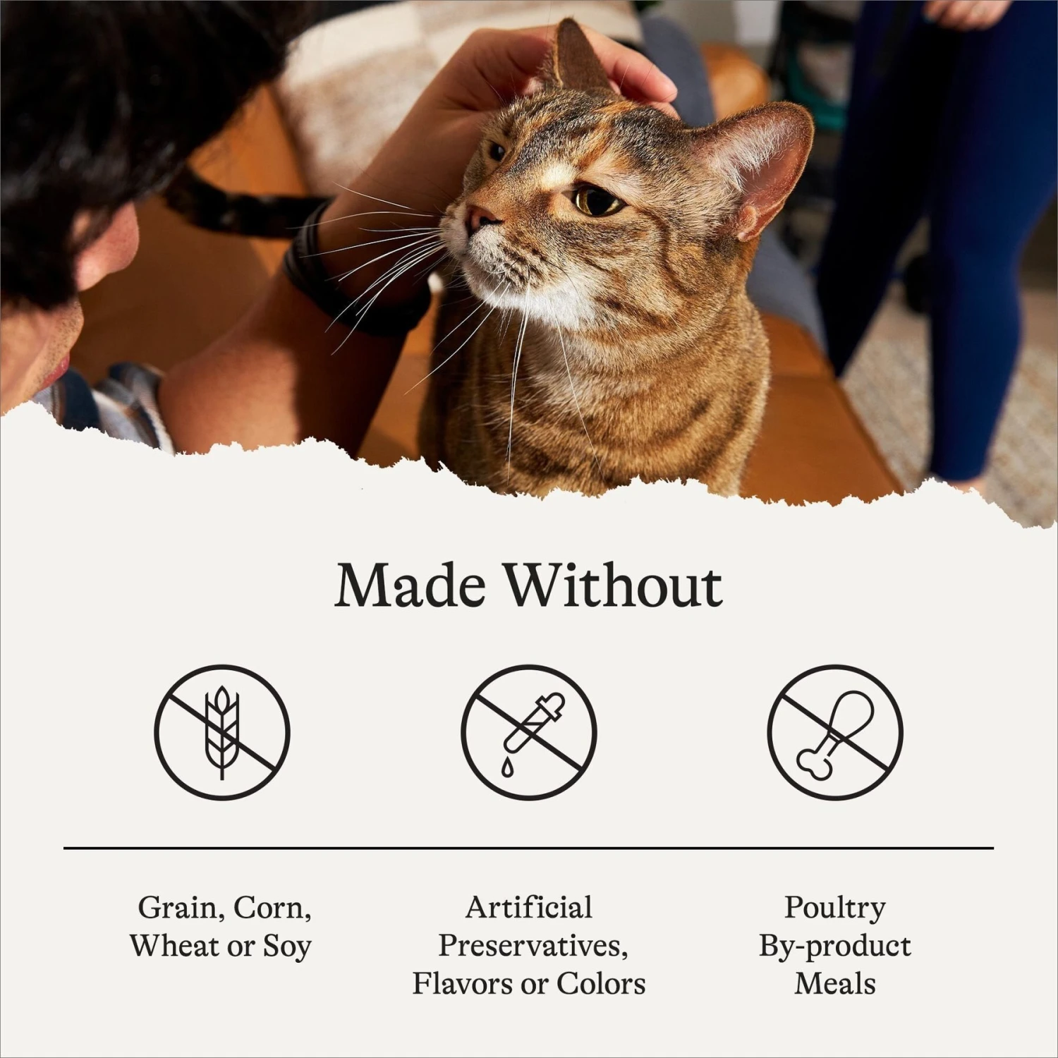 American Journey Turkey & Chicken Recipe Grain-Free Dry Cat Food 9 American Journey Turkey & Chicken Recipe Grain-Free Dry Cat Food - Image 7