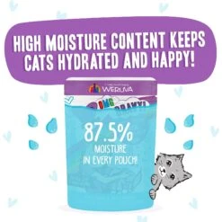 BFF OMG Booya! Beef & Chicken Dinner In Gravy Grain-Free Cat Food Pouches -PurePet Bites Shop 132281 PT3. AC SS1800 V1644913629