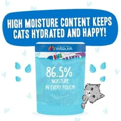 BFF OMG Ciao Baby! Chicken & Shrimp Dinner In Gravy Grain-Free Cat Food Pouches 14 BFF OMG Ciao Baby! Chicken & Shrimp Dinner In Gravy Grain-Free Cat Food Pouches -PurePet Bites Shop 132283 PT3. AC SS1800 V1644906398