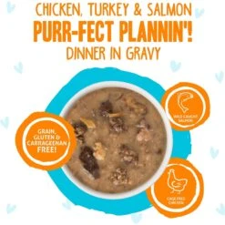 BFF OMG Purr-Fect Plannin'! Chicken, Turkey & Salmon Dinner In Gravy Grain-Free Cat Food Pouches -PurePet Bites Shop 132287 PT2. AC SS1800 V1644910307