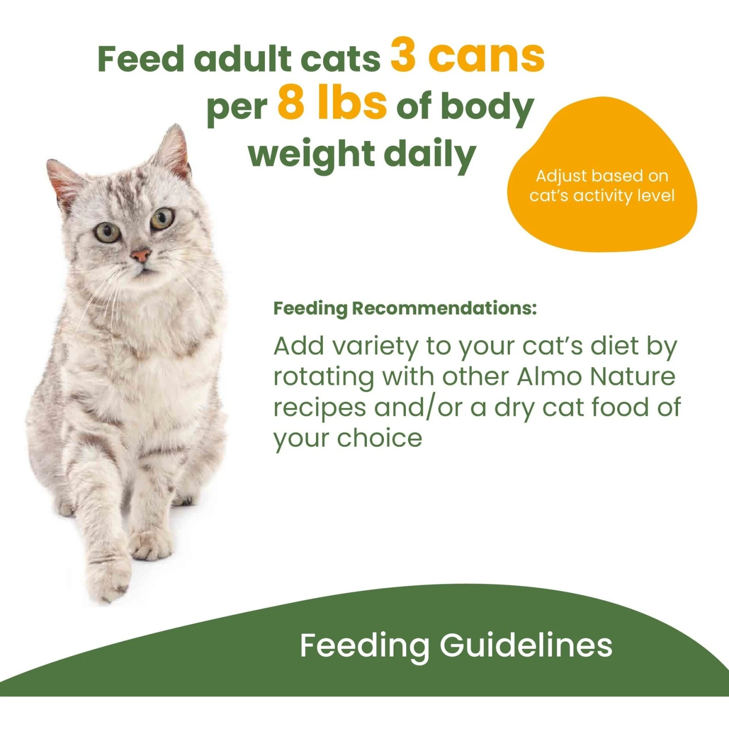 Almo Nature HQS Complete Chicken Recipe With Green Beans Grain-Free Canned Cat Food 9 Almo Nature HQS Complete Chicken Recipe With Green Beans Grain-Free Canned Cat Food - Image 7