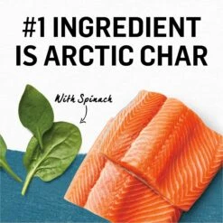 Purina Beyond Arctic Char & Spinach Pate Recipe Grain-Free Canned Cat Food -PurePet Bites Shop 132405 PT3. AC SS1800 V1700160925