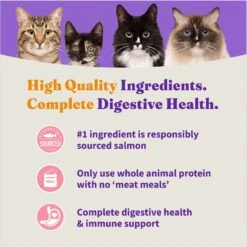 Halo Holistic Grain-Free Wild-Caught Salmon & Whitefish Recipe Complete Digestive Health Dry Kitten Food 12 Halo Holistic Grain-Free Wild-Caught Salmon & Whitefish Recipe Complete Digestive Health Dry Kitten Food -PurePet Bites Shop 133043 PT3. AC SS1800 V1672952375