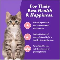 Halo Holistic Grain-Free Wild-Caught Salmon & Whitefish Recipe Complete Digestive Health Dry Kitten Food 15 Halo Holistic Grain-Free Wild-Caught Salmon & Whitefish Recipe Complete Digestive Health Dry Kitten Food -PurePet Bites Shop 133043 PT6. AC SS1800 V1672952367