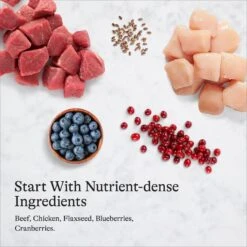 American Journey Pate Beef & Chicken Recipe Grain-Free Canned Cat Food, 3-oz Can, 24 Count -PurePet Bites Shop 133890 PT6. AC SS1800 V1689972513
