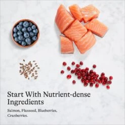 American Journey Pate Salmon Recipe Grain-Free Canned Cat Food, 3-oz Can, 24 Count -PurePet Bites Shop 133901 PT6. AC SS1800 V1689972512