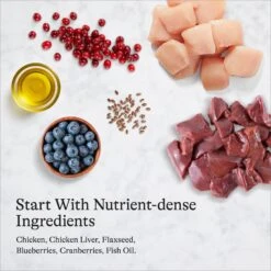 American Journey Pate Chicken Recipe Grain-Free Canned Cat Food -PurePet Bites Shop 133925 PT6. AC SS1800 V1689972509