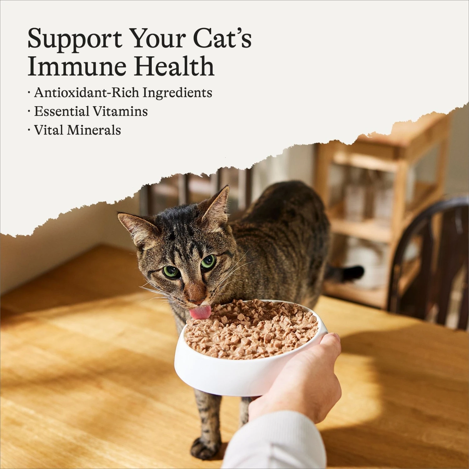 American Journey Minced Chicken & Turkey Recipe In Gravy Grain-Free Canned Cat Food 4 American Journey Minced Chicken & Turkey Recipe In Gravy Grain-Free Canned Cat Food - Image 2