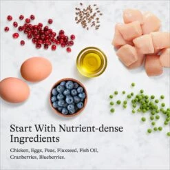 American Journey Minced Chicken & Turkey Recipe In Gravy Grain-Free Canned Cat Food 17 American Journey Minced Chicken & Turkey Recipe In Gravy Grain-Free Canned Cat Food -PurePet Bites Shop 133943 PT6. AC SS1800 V1689951381