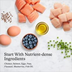 American Journey Minced Chicken & Salmon Recipe In Gravy Grain-Free Canned Cat Food -PurePet Bites Shop 133947 PT6. AC SS1800 V1689951386