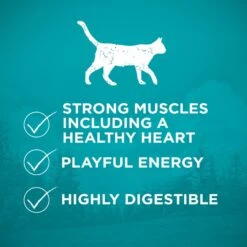 Purina ONE True Instinct Natural Real Chicken Plus Vitamins & Minerals High Protein Grain-Free Dry Cat Food 14 Purina ONE True Instinct Natural Real Chicken Plus Vitamins & Minerals High Protein Grain-Free Dry Cat Food -PurePet Bites Shop 135642 PT3. AC SS1800 V1649114824