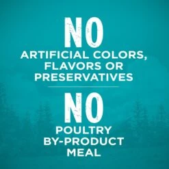 Purina ONE True Instinct Natural Real Chicken Plus Vitamins & Minerals High Protein Grain-Free Dry Cat Food 17 Purina ONE True Instinct Natural Real Chicken Plus Vitamins & Minerals High Protein Grain-Free Dry Cat Food -PurePet Bites Shop 135642 PT6. AC SS1800 V1649121791