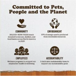 Now Fresh Grain-Free Wild Salmon Pate Wet Cat Food -PurePet Bites Shop 138476 PT8. AC SS1800 V1637793438