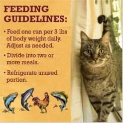 Purina Beyond Grain-Free Pate 4 Flavors Variety Pack Canned Cat Food -PurePet Bites Shop 140460 PT8. AC SS1800 V1641260842