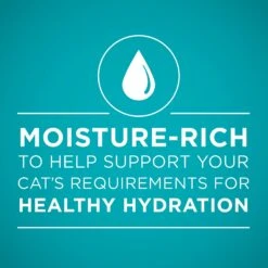 Purina ONE True Instinct 4 Flavors Variety Pack Canned Cat Food -PurePet Bites Shop 140464 PT3. AC SS1800 V1641584577