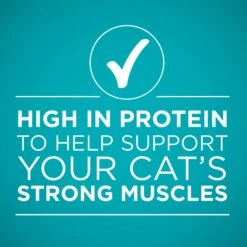 Purina ONE True Instinct 4 Flavors Variety Pack Canned Cat Food -PurePet Bites Shop 140464 PT6. AC SS1800 V1641587578