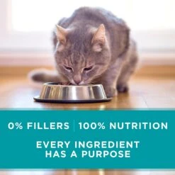Purina ONE True Instinct 4 Flavors Variety Pack Canned Cat Food -PurePet Bites Shop 140464 PT7. AC SS1800 V1641607632